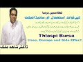 Thlaspi bursa   uses dosage side effect and benefits