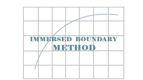 Immersed Boundary Method with Direct Forcing Approach