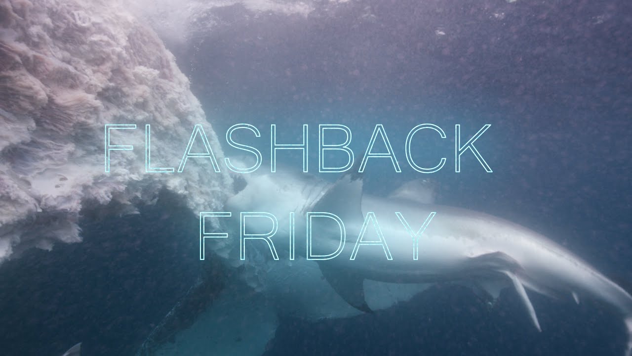 FLASHBACK FRIDAY - YouTube