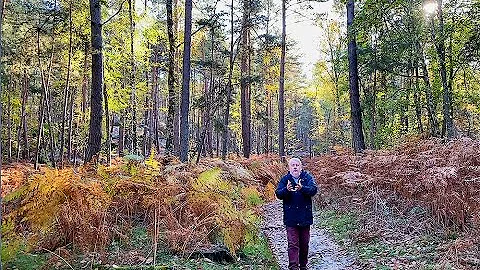 Comment la forêt française est protégé ?