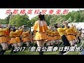 奈良ムジークフエスト2017『京都橘高校吹奏楽部』in 奈良公園春日野園地