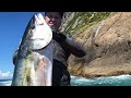 Spearfishing NZ | Big Fish & Lobster | Swimming with Dolphins!