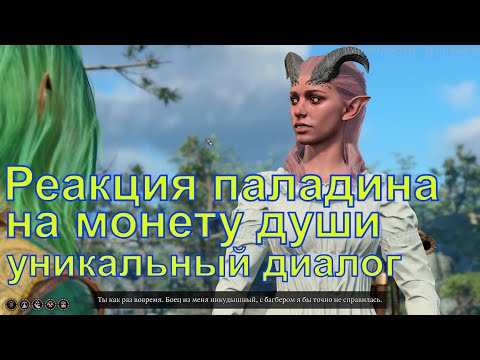 Реакция героя паладина на монету души, уникальный диалог с Надирой, Baldur's Gate 3