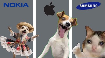 Dog,Cat Memes but famous phone ringtones