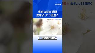 東京の桜が満開　2013年以降で最も遅い｜TBS NEWS DIG #shorts