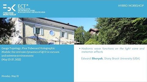 Edward Shuryak | Hadronic wave functions on the light cone and instanton effects