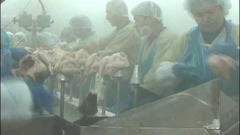 Inside a US Poultry Processing Plant