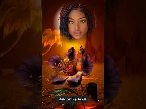 بحر ابوجريشة في شرع مين ترند اكسبلور الزمن الجميل ايام زمان ابيض واسود اسكندرية اسوان