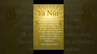 Karanlığın İçinde Kaybolduğunda, Ya Nûr De