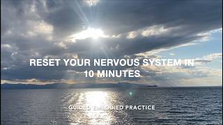 Reset Your Nervous System in 10 Minutes - Embodied Psychotherapy Guided Exercise