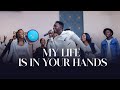 The new song  my life is in your hands