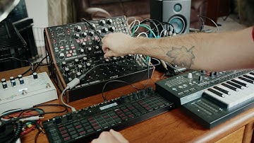 Moog Subharmonicon and DFAM live performance with the Arturia Minifreak