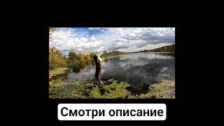ЛУЧШЕ МИКРОДЖИГА на ОКУНЯ? Ссылка в описании! Рыбалка на спиннинг осенью. Ультралайт и отводной