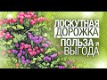 Лоскутный эфир №281. Лоскутное шитье. Дорожка в технике "Вокруг Света". Польза и Выгода