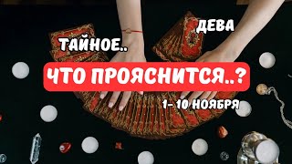 видео: 🔴Дева♍️Знаки Судьбы - События с 1 по 10 Ноября..и дальше⁉️Astro Ispirazione  картинка: 🔴Дева♍️Знаки Судьбы - События с 1 по 10 Ноября..и дальше⁉️Astro Ispirazione