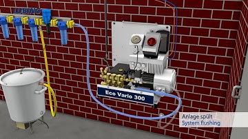 Top Climate System Pig