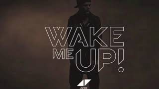 Avicii - Wake me up (Audio)