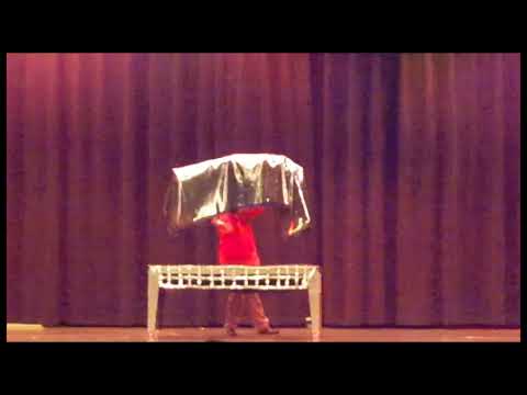 Brett Shaw is an Award Winning Stage Illusionist (Missouri)