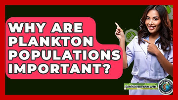 Why Are Plankton Populations Important? - Earth Science Answers