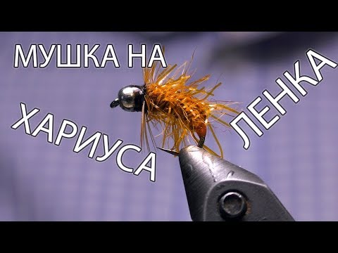 Сибирская Скрутка-Колбаса отличного Оранжевого оттенка
