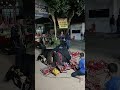 kesenian Rekomendasi buat hiburan hajatan mu bolo #kesenian #jaranan
