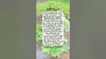 سورة المائدة ٣ #قرآن #قرآن_كريم #قران #قران_كريم #قرأن #اكسبلور #quran
