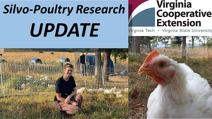 Silvo-Poultry Research Update