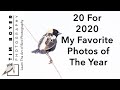 20 For 2020  -- My Favorite Photos of The Year