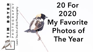 20 For 2020  -- My Favorite Photos of The Year