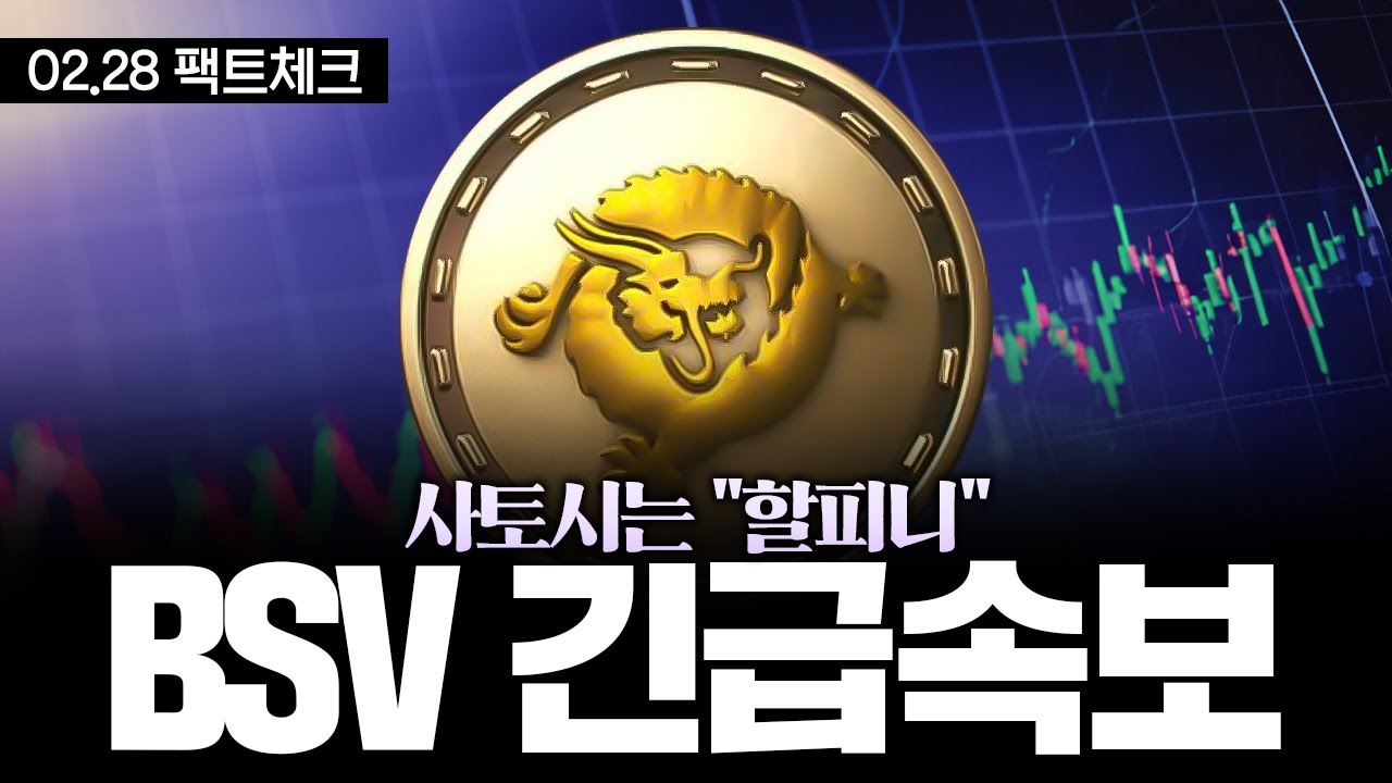 비트코인에스브이 | 크레이그라이트는 사토시가 아닙니다. 사토시는 할피니입니다. #비트코인에스브이 - YouTube