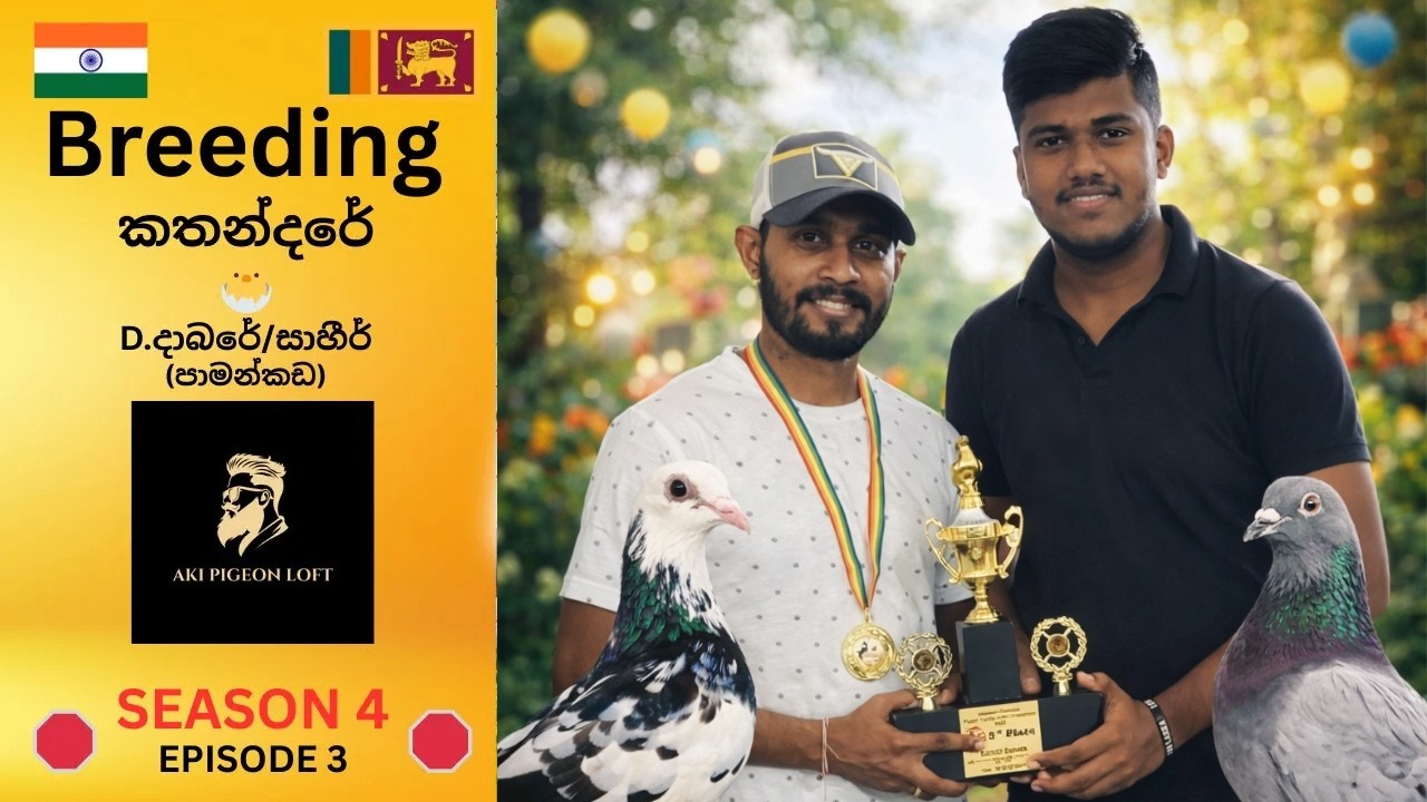 D.දාබරේත් ගොඩ ගිය,හරියටම කරපු Breeding කතන්දරේ🕊️🐥🐤     🛑Part 03