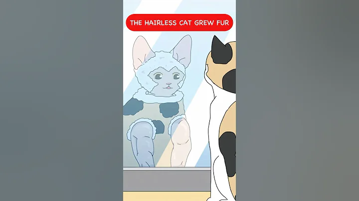Watch the video about The Hairless Cat Grew Fur
