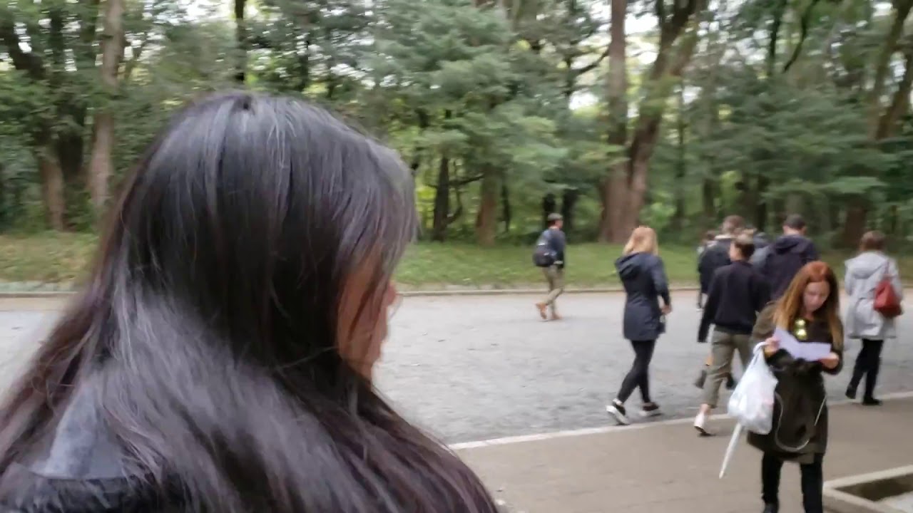 camera iphone 8 plus apk Meiji Jingu
