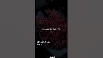 سورة   العنكبوت آية   ٥٦ ٥٧ القارئ  عبدالرحمن مسعد #قرآن