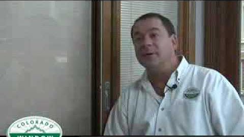 CO Window Source Guide To Replacement Windows