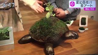 小竹規弘 コケプロデューサー 苔師