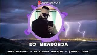 Seka Aleksic - Za ljubav mobilna - (Audio 2004) DJ BRADONJA REMIX