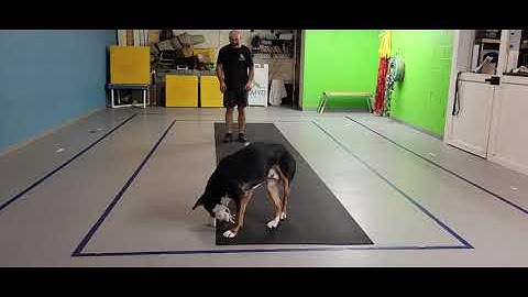 Eames, Force Fetch wk 6