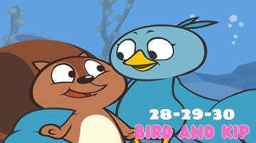 Toddler learning videos | Bird and Kip: 28-29-30