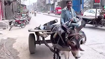 Khám Phá Kỹ Năng Sửa Chữa Bá Đạo Ở Ấn Độ