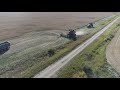 2021 Canola Harvest, Englefeld, Saskatchewan