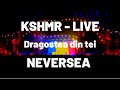 KSHMR play "Dragostea din Tei" at Neversea 2022