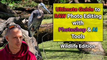 A Guide to Editing RAW Photos with Photoshop & Ai Tools | Topaz denoise Ai | Luminar Neo | Wildlife