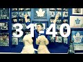 Leafs 70 in 7: Games 31-40