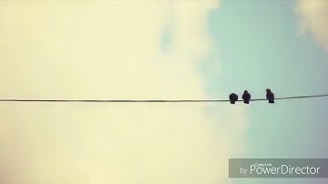 تلاوة خاشعة من سورة الفرقان للقاريء اسلام صبحي * حالات واتس اب دينية