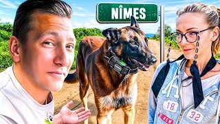 Malinois & Collier Électrique, Convaincre la Maîtresse De Changer l Jour 30 Tour de France Educ Dog