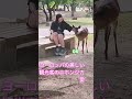 ヨーロッパの観光客の鹿を尊敬して初めて愛した 🦌👌✨
