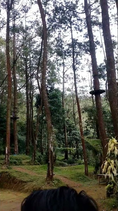 suasana di pegunungan di pagi hari #udarasejuk #shorts
