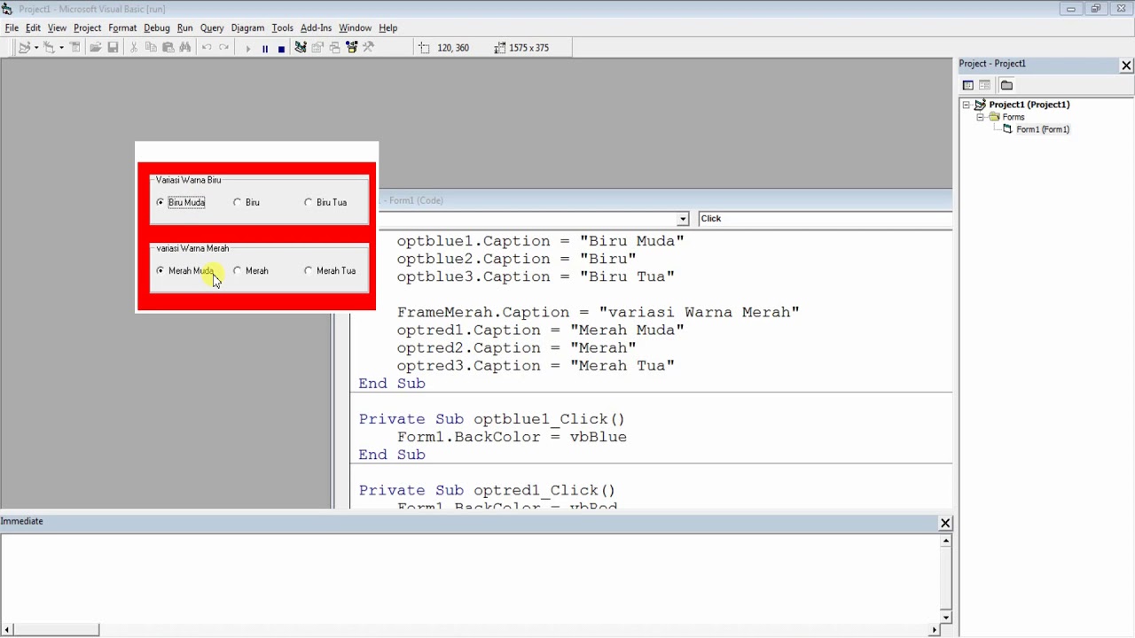 Visual Basic - Apa sih hubungan Frame dan option button? - YouTube