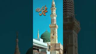 Madina #mashaallah #Islamic vibes #ytshorts #🕋❤️🤍🩷💖🙀🩷❤️🙀🙀